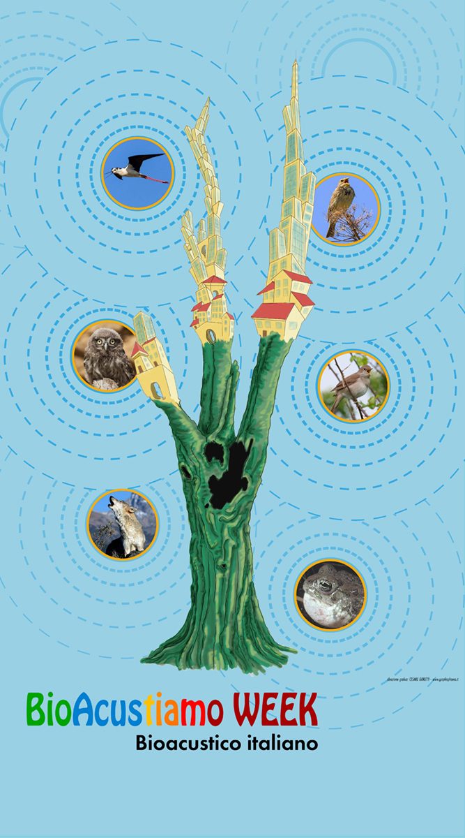 Base_completa_Locandina_BioAcustic_2020