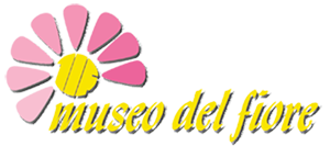 Theme